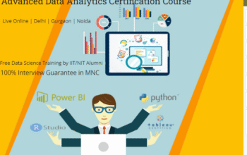 The Future of Data Analyst Careers: Job Prospects