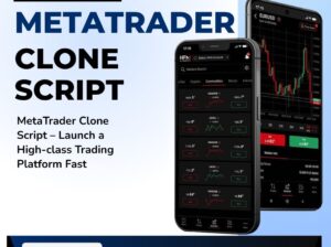 Launch a High-class Trading Platform Fast